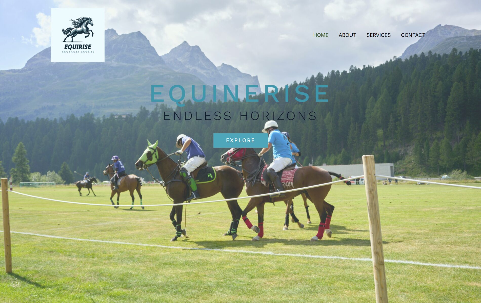 Equinerise Homepage - Website